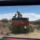 Illustration for article titled Taking A Guided Hummer Tour Of Joshua Tree Was A Highlight Of My Vacation